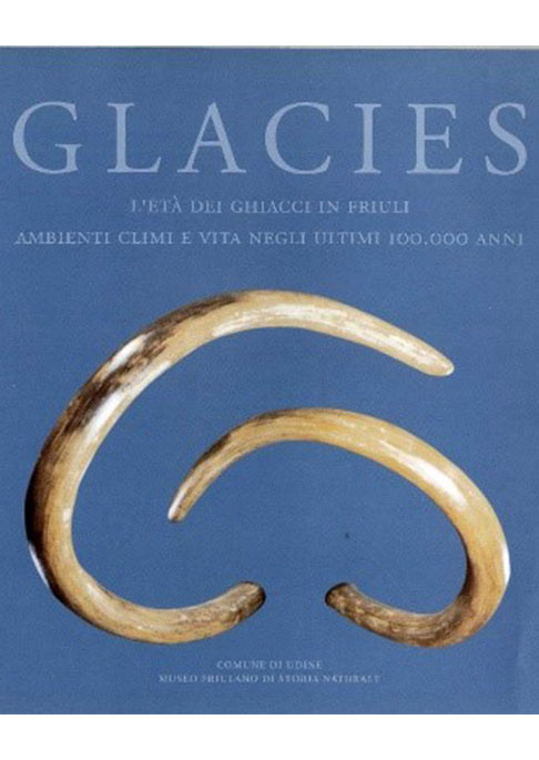 L’età dei ghiacci in Friuli: ambienti, climi e vita negli ultimi 100.000 anni.