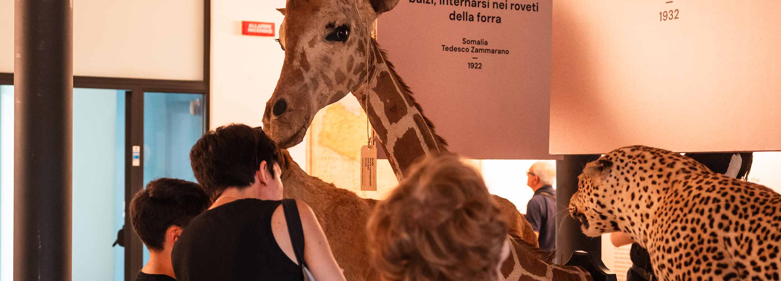 Foto dei libri acquistati a maggio dalla biblioteca