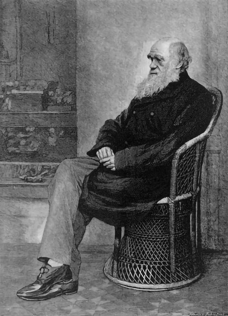 Ritratto di Charles Darwin