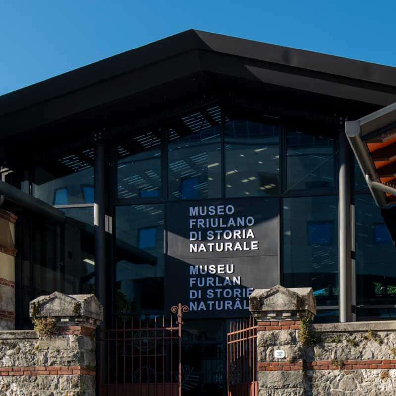 Entrata del Museo Friulano di Storia Naturale