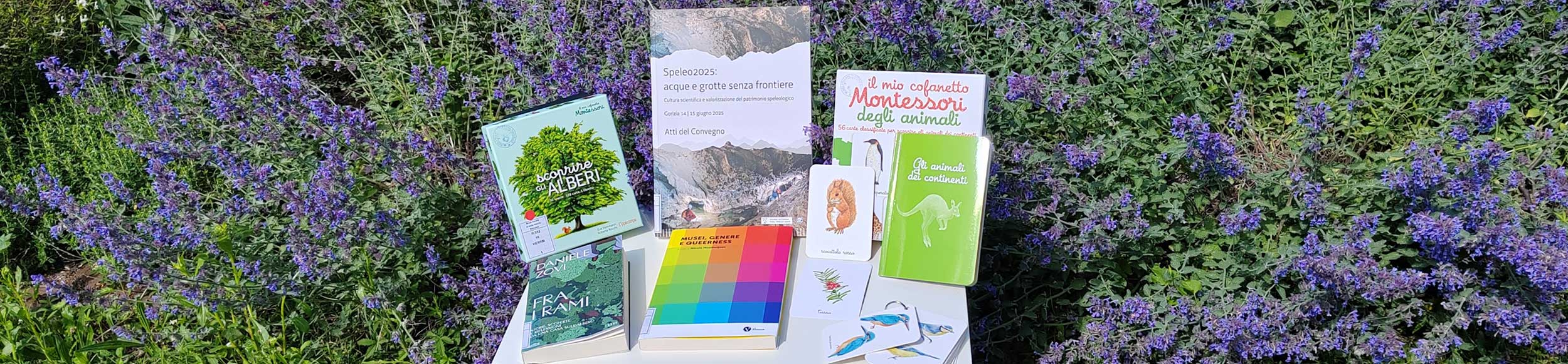 Foto dei libri acquistati a maggio dalla biblioteca