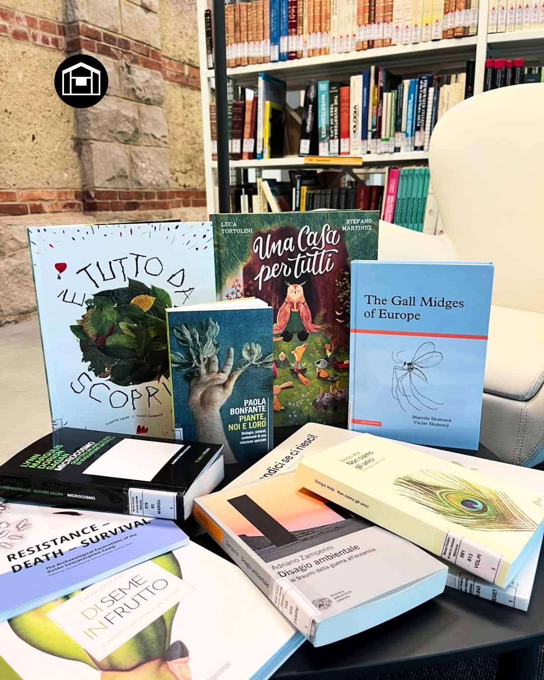 Foto degli ultimi libri acquistati dalla biblioteca