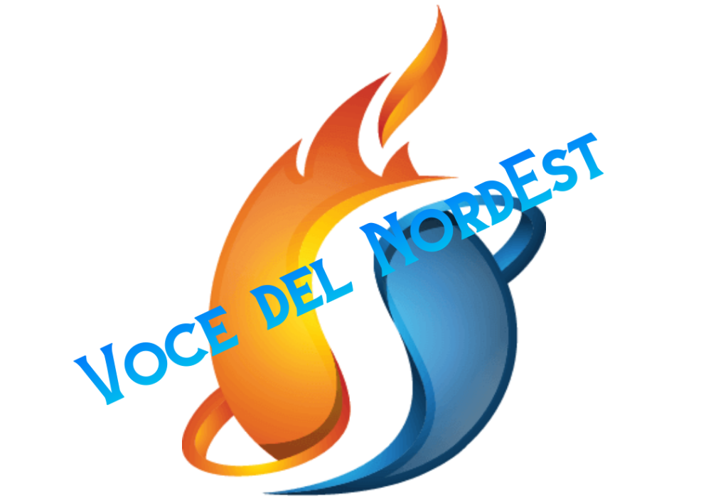 Logo Voce del Nord Est