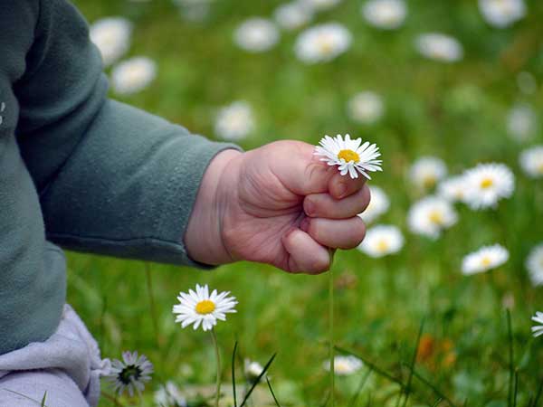 Piccoli esploratori al Museo