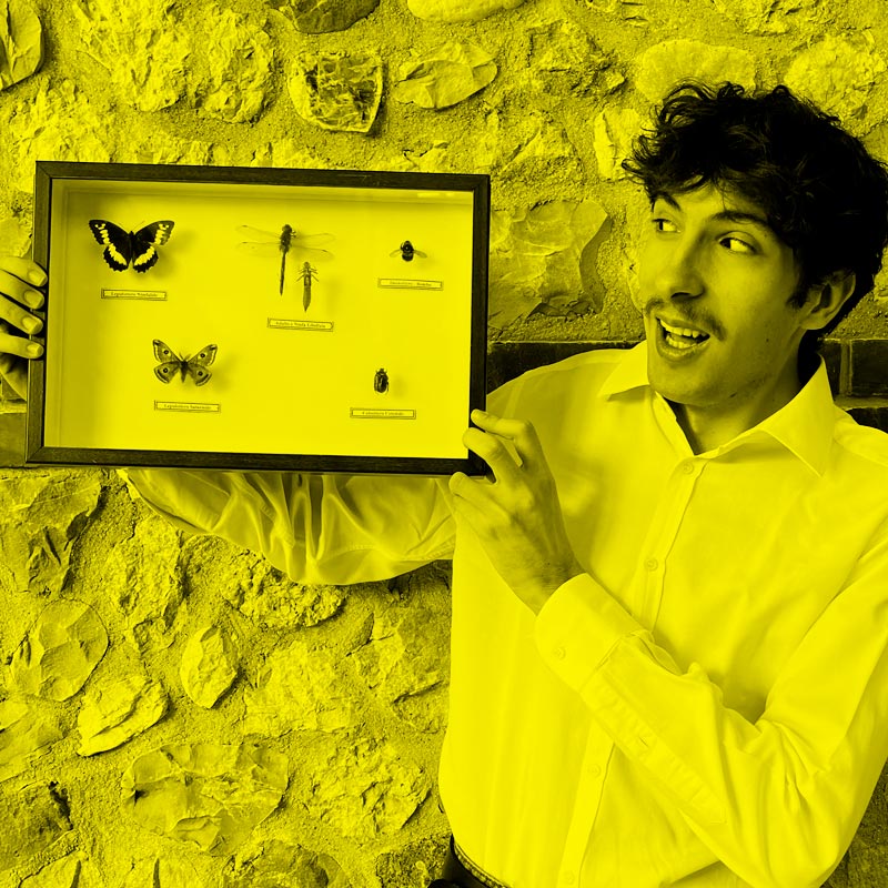 Davide Dal Mas