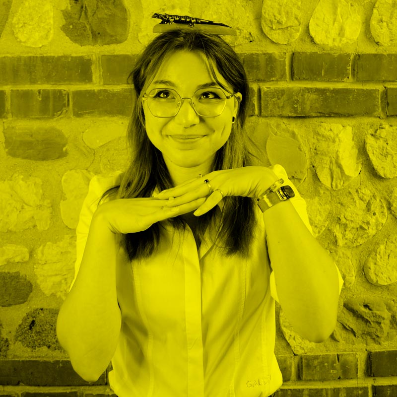 Irene Cecchia