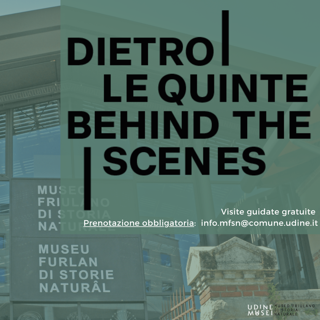 Locandina "Dietro le quinte"