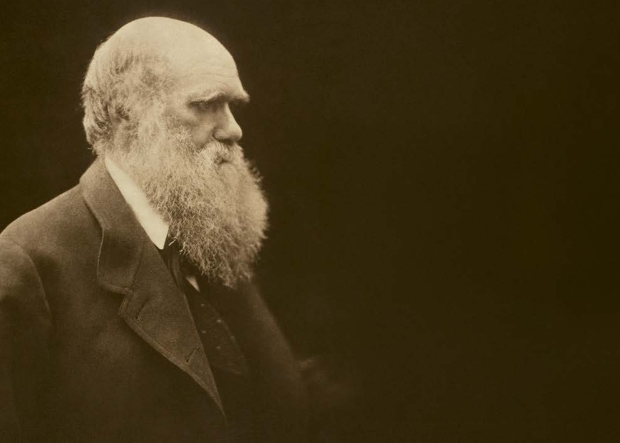 (foto di Charles Darwin, c. 1868.
                              Alfred Stieglitz Collection, The Art Institute of Chicago)