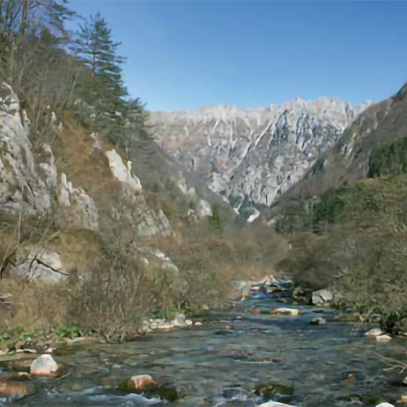 Foto del torrente Torre, Pradiellis (Lusevera, UD)