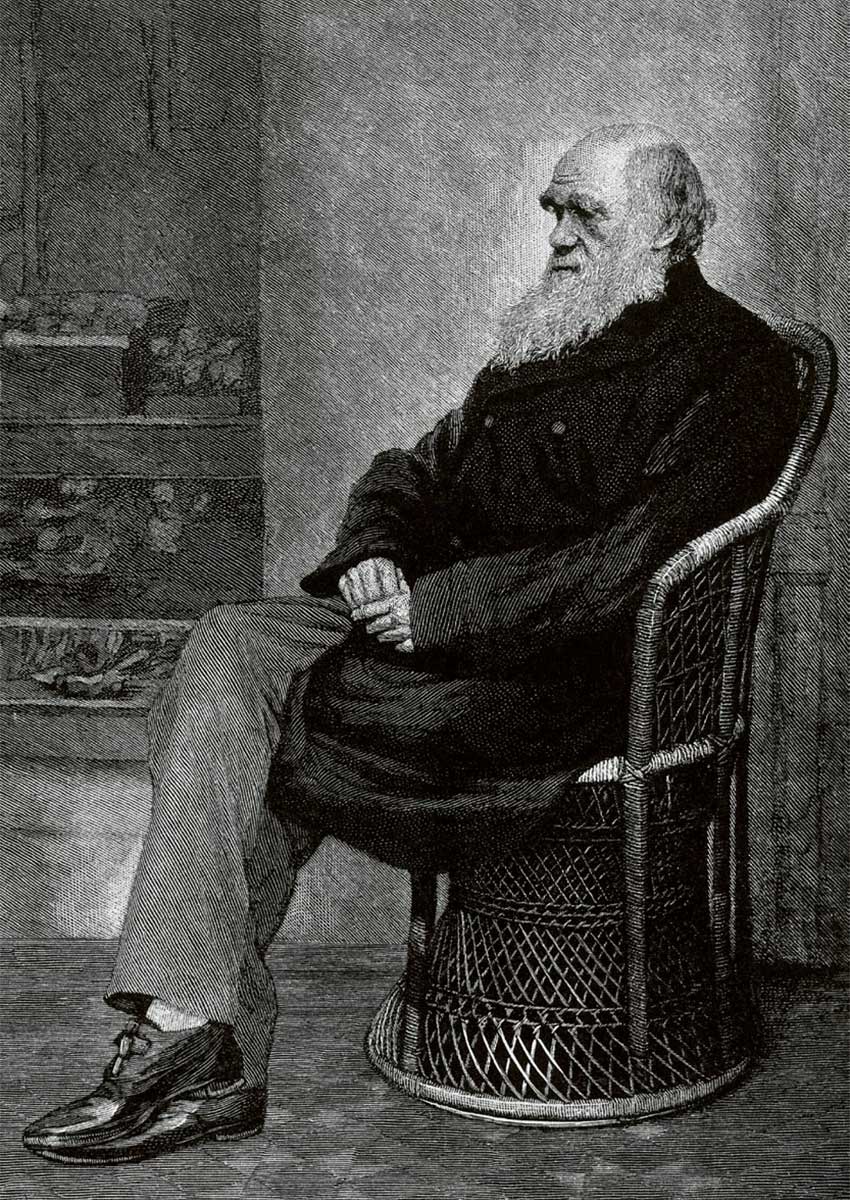 Charles Robert Darwin. Incisione su legno di T. Johnson, 1883, da L. Darwin, 1874. Wellcome Collection