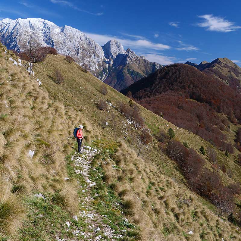 Photo credits: Ivo Pecile