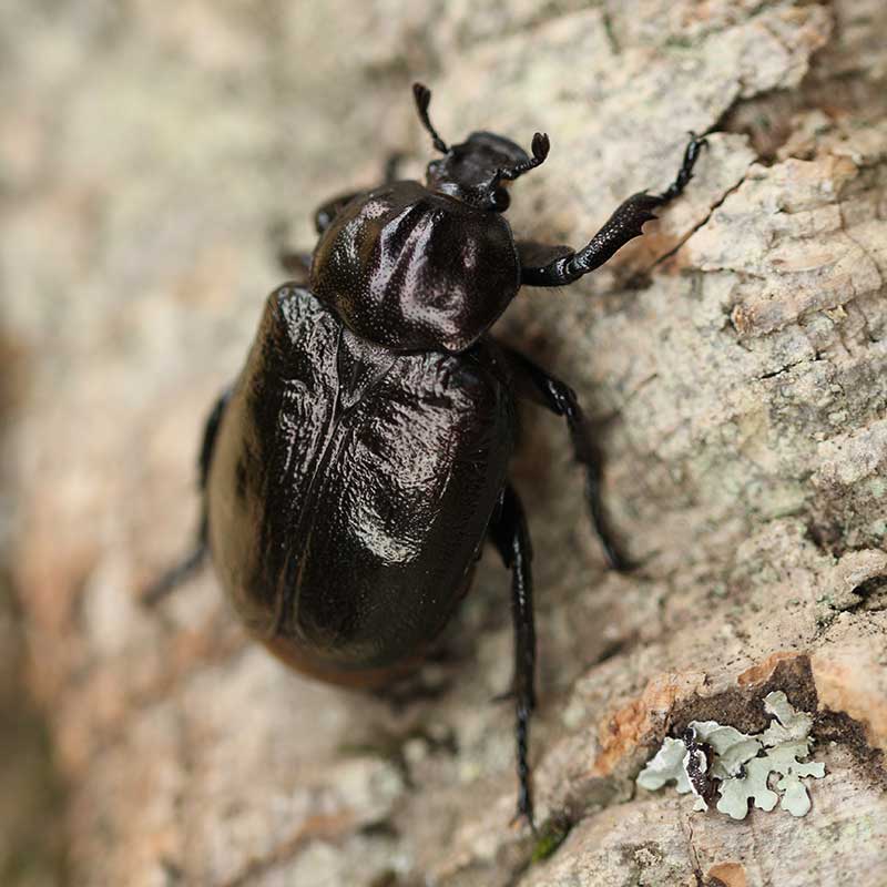 Photo credits: Paolo Glerean