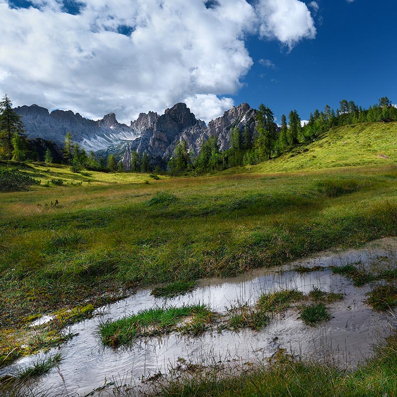 Photo credits: Giovanni Bertagno