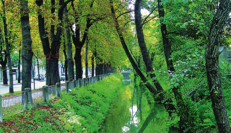 Alberi lungo una roggia di Udine