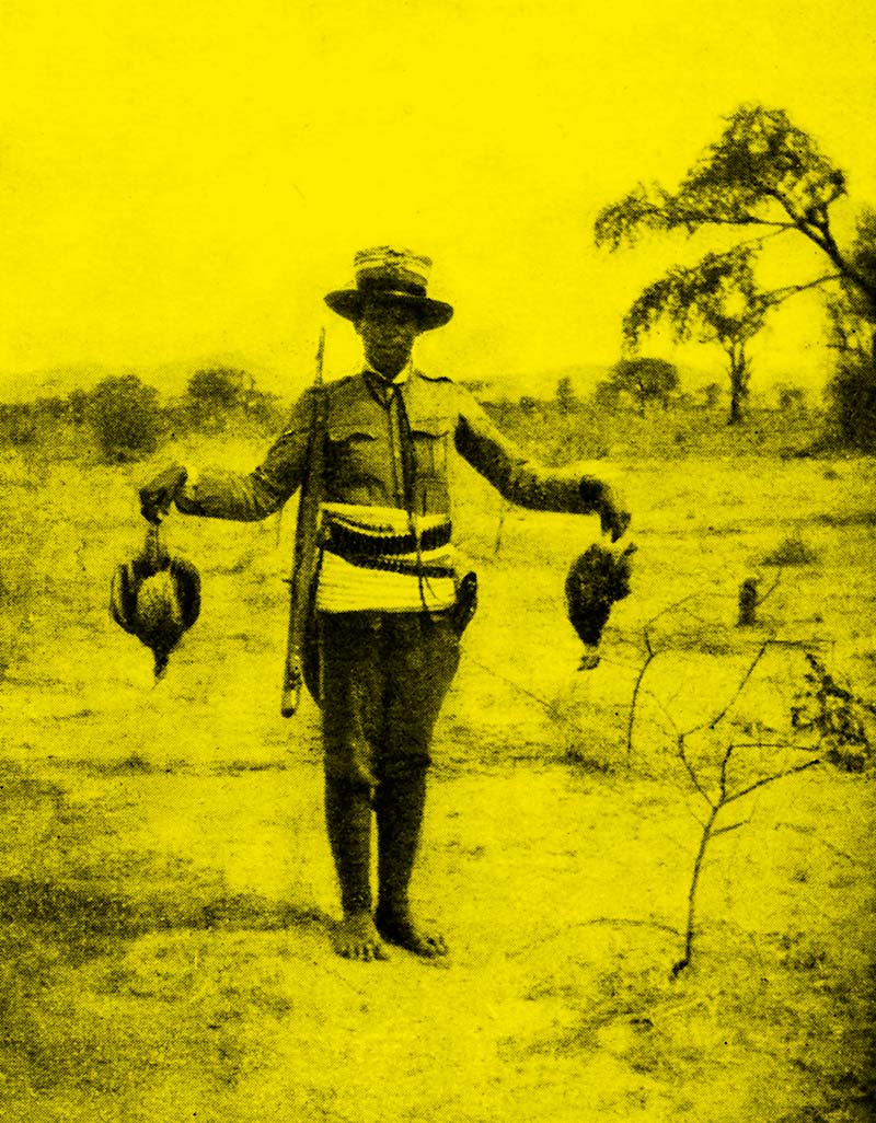Francolini (Francolinus clappertonii), da Zammarano 1922
