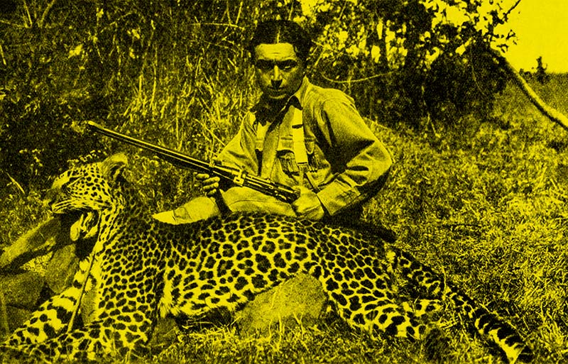 Leopardo ucciso alle sorgenti del Goang, da Zammarano 1922