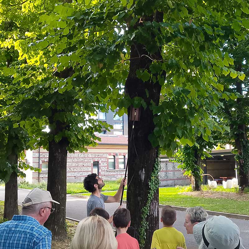 Attività della Rete regionale per l'educaziona ambientale del Friuli Venezia Giulia