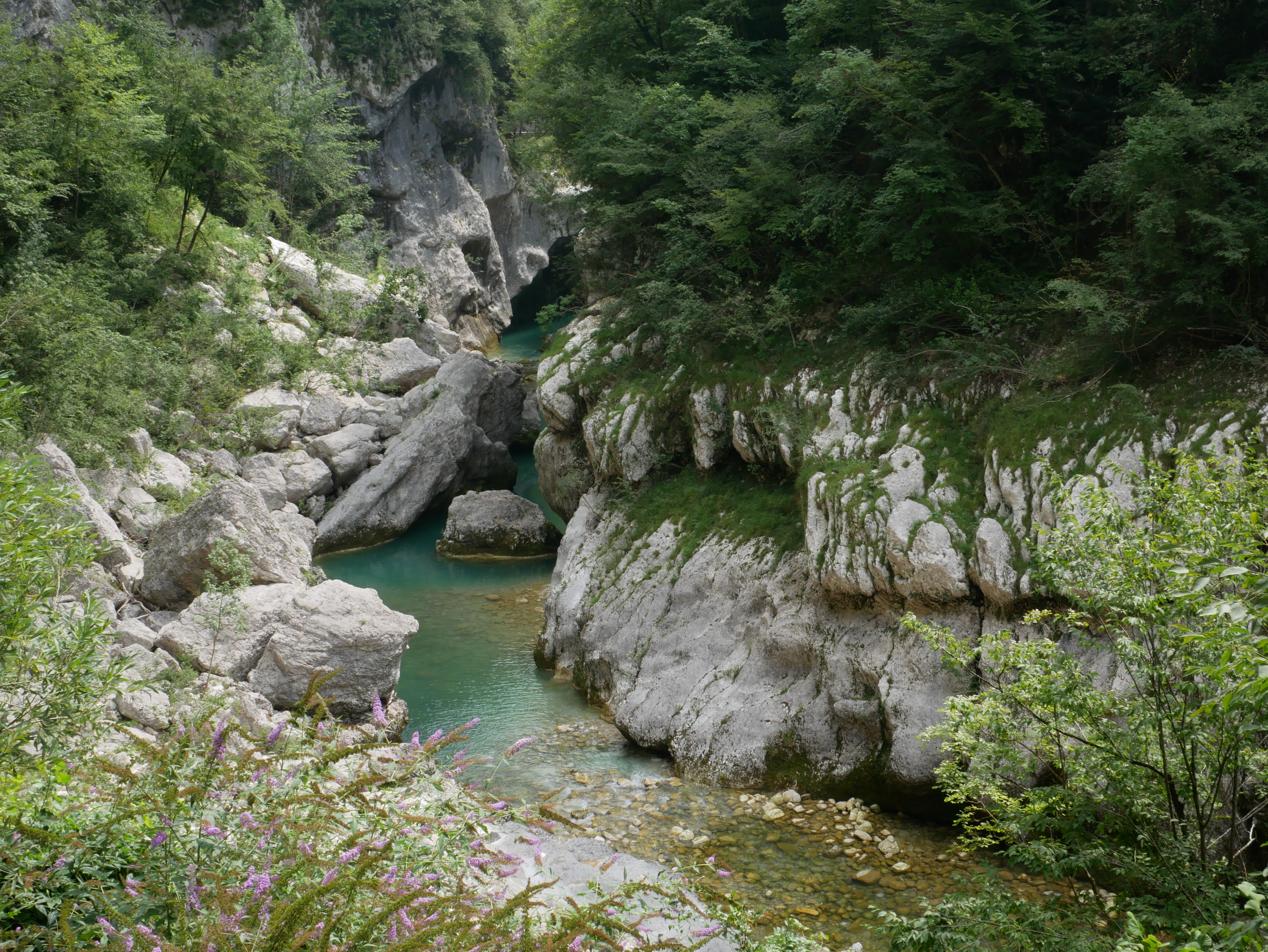 La forra del Torrente Cellina a valle del Lago di Barcis (Barcis, Pn).